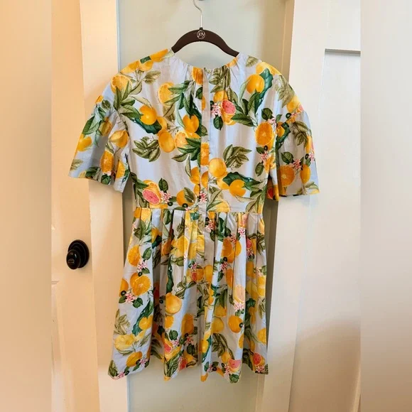 Cara Cara Carla Dress Country Air Lemon Citrus pattern sz 2 - Picture 3 of 4